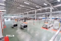 Ảnh minh họa. (Ảnh: Bùi Giang/TTXVN)