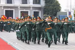 Ảnh minh họa. (Ảnh: Xuân Tư/TTXVN)