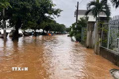 Nhiều khu dân cư ven sông Thạch Hãn ở xã Triệu Bình bị ngập sâu. (Ảnh: Tường Vi/TTXVN)