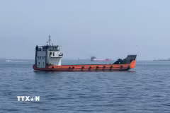 Tàu thương mại chờ đi qua eo biển Hormuz. (Ảnh: THX/TTXVN phát)
