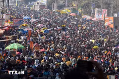 Những người hành hương tham gia lễ hội tôn giáo Kumbh Mela ở thành phố Prayagraj (Ấn Độ) - nơi xảy ra một vụ giẫm đạp khiến nhiều người thương vong hồi tháng 01/2025. (Ảnh: ANI/TTXVN)