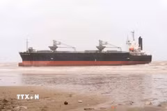 Tàu hàng Thanh Thàng Đạt 9 có chiều dài 151m, rộng 26m, trọng lượng 23.000 tấn xuất phát từ cảng Thịnh Long (Ninh Bình) đến cảng Nghi Sơn (Thanh Hóa) để bốc hàng thì bị chết máy. (Ảnh: TTXVN phát)