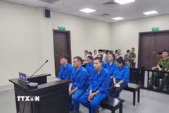 Các bị cáo tham gia vào đường dây mua bán thận tại phiên tòa. (Ảnh: Kim Anh/TTXVN)