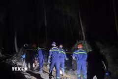 Lực lượng Bộ đội Biên phòng nỗ lực dập lửa cháy rừng phòng hộ tại xã Đông Trạch. (Ảnh: TTXVN phát)