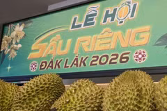 Lễ hội sầu riêng Đắk Lắk 2026. (Ảnh: Cổng Thông tin Điện tử Đắk Lắk)