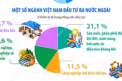  Đầu tư của Việt Nam ra nước ngoài trong 9 tháng đạt 2,77 tỷ USD 