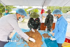 Cán bộ, chiến sỹ tìm kiếm, quy tập, xác minh danh tính liệt sỹ trong chiến dịch. (Ảnh: Sỹ Thắng/TTXVN)