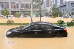 Ngập lụt do mưa lớn gây ra bởi bão Maysak ở Trung Quốc. (Ảnh: THX/TTXVN phát)