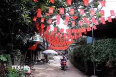 Rực rỡ cờ hoa tại các con đường thôn, xóm xã Cao Sơn, hướng đến Đại hội Đảng bộ tỉnh Phú Thọ lần thứ nhất. (Ảnh: Thanh Hải/TTXVN)