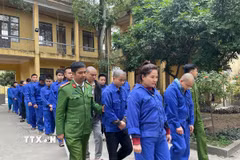 Các đối tượng bị bắt giam. (Ảnh: TTXVN phát)