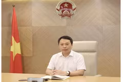 Thứ trưởng Nguyễn Huy Dũng.