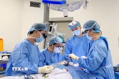 (Ảnh minh họa: TTXVN phát)