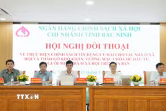 Chủ trì Hội nghị. (Ảnh: Đồng Thúy/TTXVN)