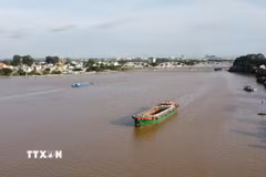 Triều cường sông Đồng Nai tại trạm thủy văn Biên Hòa chiều ngày 10/10 lên xấp xỉ báo động 3. (Ảnh: Sỹ Tuyên/TTXVN)