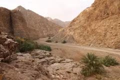 UNESCO đã ghi danh Khu bảo tồn Wadi Wurayah thuộc dãy núi Hajar ở Tiểu vương quốc Fujairah (UAE) vào “bảng vàng” thế giới. (Ảnh: thenationalnews.com)
