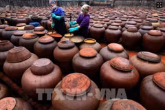Để tương nhuyễn và lên màu, người làm tương phải thường xuyên khuấy tương vào buổi sáng và trưa; trời càng nhiều nắng thì tương chín càng nhanh. (Ảnh: Tuấn Anh/TTXVN)