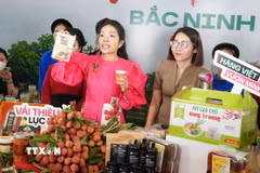 Quảng bá trực tuyến sản phẩm vải thiều và các nông sản chủ lực, đặc trưng OCOP của tỉnh Bắc Ninh. (Ảnh: Đồng Thúy/TTXVN)