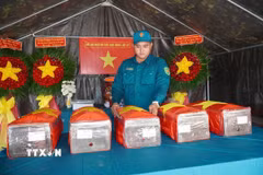 Sau 3 ngày làm việc, lực lượng tìm kiếm, quy tập hài cốt liệt sỹ của Bộ Tư lệnh Thành phố Hồ Chí Minh đã phát hiện, quy tập được 5 bộ hài cốt liệt sỹ tại ấp Lan An 3, xã Thường Tân. (Ảnh: TTXVN phát)