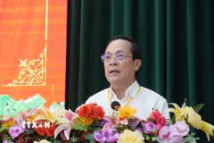 Phó Bí thư Tỉnh ủy Vĩnh Long Lâm Minh Đằng phát biểu tại hội thảo. (Ảnh: Phạm Minh Tuấn/TTXVN)