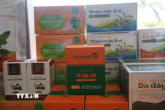 Từ việc trồng thử nghiệm cà gai leo, dây thìa canh, Công ty cổ phần Dược liệu Pù Mát, tại xã Con Cuông, từng bước xây dựng vùng nguyên liệu, đầu tư máy móc và phát triển các sản phẩm trà, bột, cao dược liệu. (Ảnh: Bích Huệ/TTXVN)