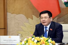 Phó Chủ tịch Quốc hội Nguyễn Hồng Diên. (Ảnh: Tuấn Anh/TTXVN)