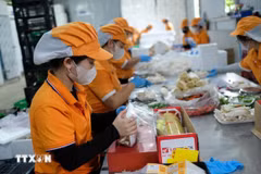 Nghị quyết số 68-NQ/TW khơi thông dư địa tăng trưởng mới. (Ảnh: Nguyễn Dũng/TTXVN)