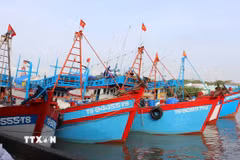 Đội tàu có công suất lớn đủ sức vươn ra khai thác các ngư trường xa như Côn Đảo, Trường Sa, DK1 đạt tỷ lệ 60%. (Ảnh: Hữu Chí/TTXVN)