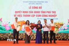 Các cụm công nghiệp nhận quyết định thành lập. (Ảnh: Thu Hương/TTXVN)