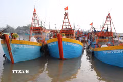 Các tàu cá neo đậu chuẩn bị ra khơi. (Ảnh minh họa: Hữu Chí/TTXVN)