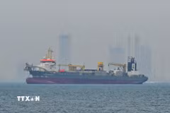 Tàu thương mại thả neo ngoài khơi Dubai, Các tiểu vương quốc Arab thống nhất, do gián đoạn hoạt động vận tải ở eo biển Hormuz. (Ảnh: AA/TTXVN)