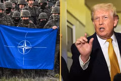 Tổng thống Mỹ cân nhắc rút khỏi NATO sau khi "độc lập tác chiến" tại Iran
