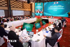 Quang cảnh buổi khai mạc Hội nghị Ban Điều phối ASEAN-OSHNET lần thứ 27 tại Đà Nẵng. (Ảnh: Trần Lê Lâm/TTXVN)