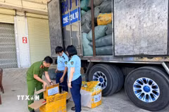 Lực lượng chức năng kiểm đếm hàng hoà nghi giả mạo nhãn hiệu thời trang nổi tiếng. (Ảnh: TTXVN phát)