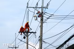 Nâng cấp, sửa chữa lưới điện ở An Giang. (Ảnh: Lê Huy Hải/TTXVN)