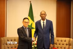 Bộ trưởng Hội nhập châu Phi, Ngoại giao và người Senegal ở nước ngoài Cheikh NIANG tiếp Đại sứ Việt Nam tại Algeria kiêm nhiệm Senegal Trần Quốc Khánh. (Ảnh: Mạnh Hùng/TTXVN)