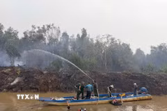 Lực lượng chức năng triển khai chữa cháy rừng tràm tại khu vực Lâm trường Tỉnh đội (xã Cô Tô, An Giang). (Ảnh: TTXVN phát)