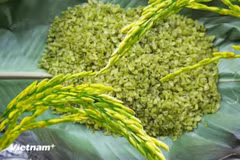 Làm cốm là nghề đòi hỏi sự tỉ mỉ và kinh nghiệm qua nhiều công đoạn, từ chọn lúa nếp, sấy, tách hạt đến giã, sàng, sảy. (Nguồn: Vietnam+)