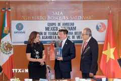 Phó Chủ nhiệm Văn phòng Quốc Hội Phạm Đình Toản tặng quà cho Chủ tịch Nhóm Nghị sỹ hữu nghị Mexico-Việt Nam Ana Karina Rojo Pimentel. (Ảnh: TTXVN phát)
