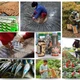 Trụ cột, động lực kinh tế tư nhân