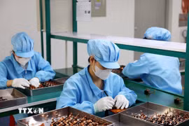 Sản xuất linh kiện điện tử xuất khẩu tại khu công nghiệp Tứ Hạ, thị xã Hương Trà, thành phố Huế (Ảnh: Phạm Hậu/TTXVN)
