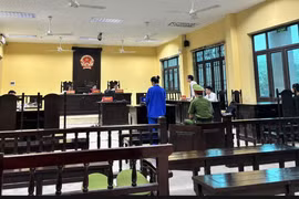 Toàn cảnh phiên tòa. (Ảnh: TTXVN phát)