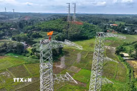 Dự án Đường dây truyền tải điện siêu cao áp 500 kV Lào Cai-Vĩnh Yên có tổng chiều dài hơn 229 km, tổng mức đầu tư hơn 7.410 tỷ đồng, đi qua địa bàn 2 tỉnh Phú Thọ và Lào Cai. (Ảnh: Vũ Sinh/TTXVN)