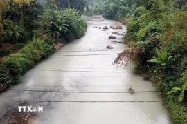 Tình trạng nước sông đổi màu bất thường diễn ra nhiều lần, mới nhất là vào sáng 16/10, nước sông đổi sang màu trắng sữa, đục ngầu. (Ảnh: TTXVN phát)
