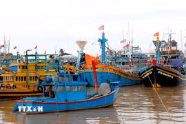 (Ảnh minh họa: Nguyễn Thanh/TTXVN)