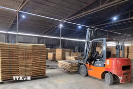 Sản xuất ván ép tại Công ty Cổ phần Xây dựng và Thương mại Thái Hoàng, Khu công nghiệp Nam Quang, xã Vĩnh Tuy, tỉnh Tuyên Quang. (Ảnh: Minh Tâm/TTXVN)