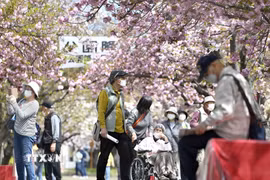 Người cao tuổi tại Osaka, Nhật Bản. (Ảnh: Kyodo/TTXVN)