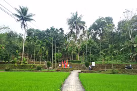 Làng cổ Lộc Yên (xã Thạnh Bình, thành phố Đà Nẵng), với cảnh sắc thiên nhiên gần gũi đang thu hút du khách đến tham quan, trải nghiệm. (Ảnh: Trang thông tin điện tử xã Thạnh Bình)