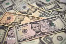 Đồng USD. (Ảnh: AFP/TTXVN)