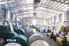 Xưởng sản xuất được đầu tư quy mô, bài bản của Công ty Trách nhiệm hữu hạn Sản xuất bao bì Trường Thịnh. (Ảnh: Đức Phương/TTXVN)