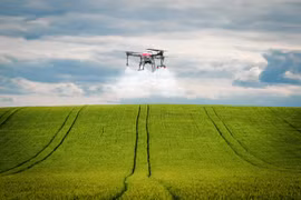 Sử dụng thiết bị bay không người lái (drone) để phun thuốc bảo vệ thực vật.